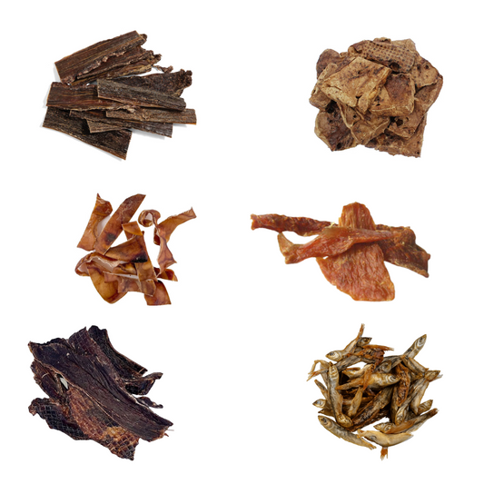 6 Protein Trial Pack