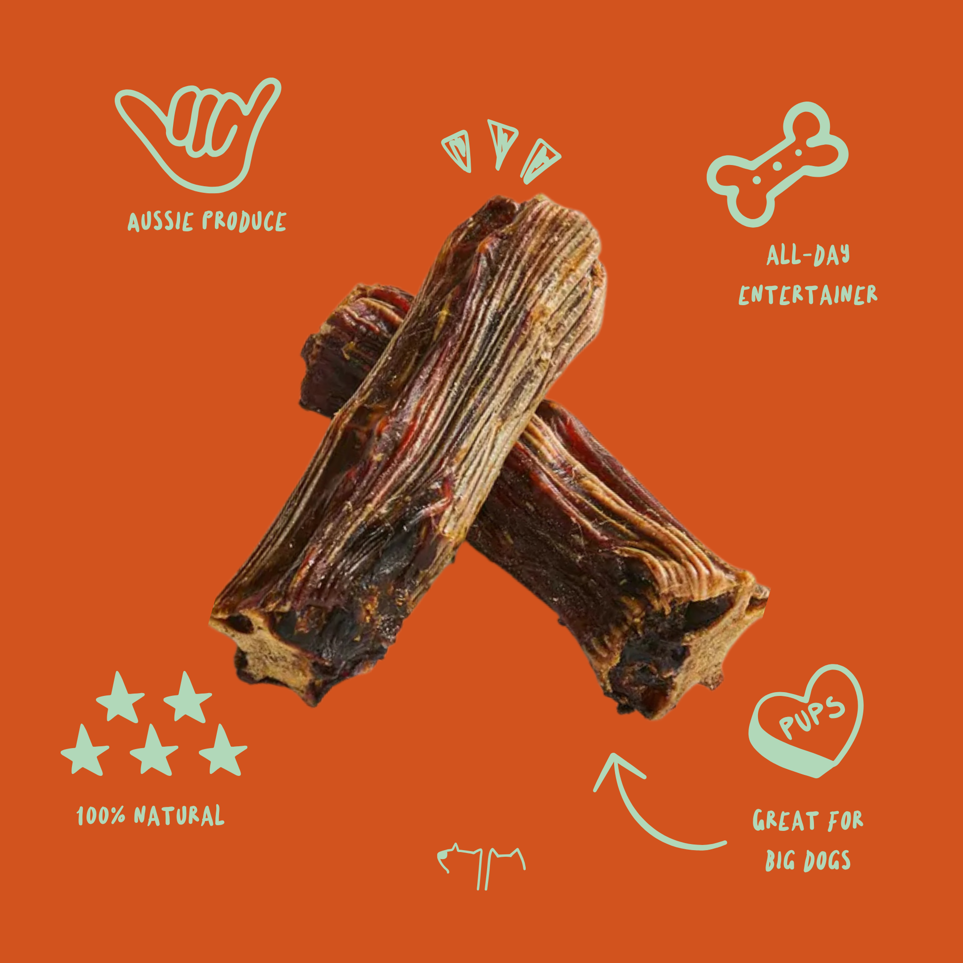 Buy Kangaroo Tail Pieces for all day entertainment