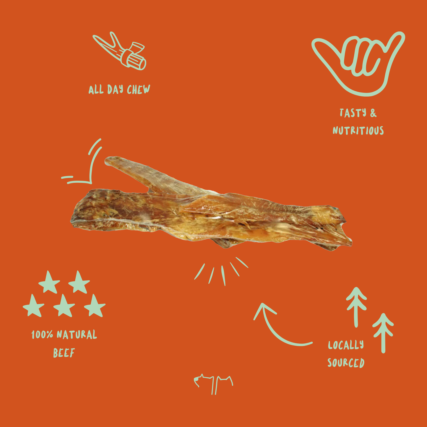 Durable beef tendons for dogs, long-lasting natural chew promoting dental health