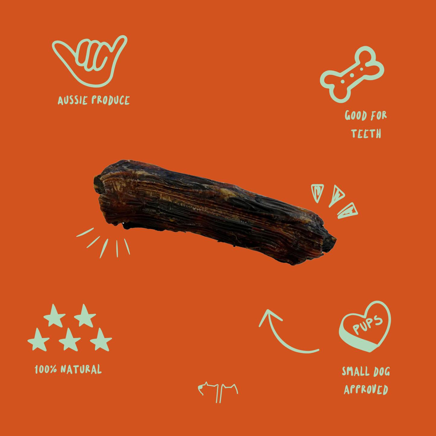 Chunky Australian kangaroo tail pieces for dogs, lean wild protein and tough natural chew