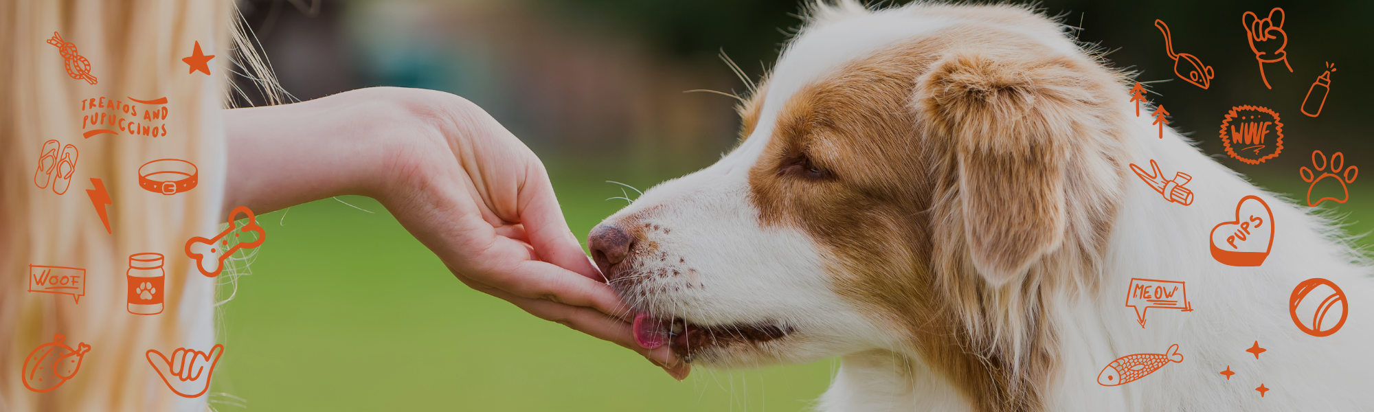 Natural single-ingredient dog treats made from Australian meats by Cooee K9