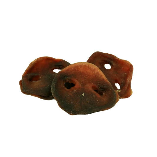 Crunchy Australian pig snouts for dogs, natural single-ingredient chew perfect for enrichment
