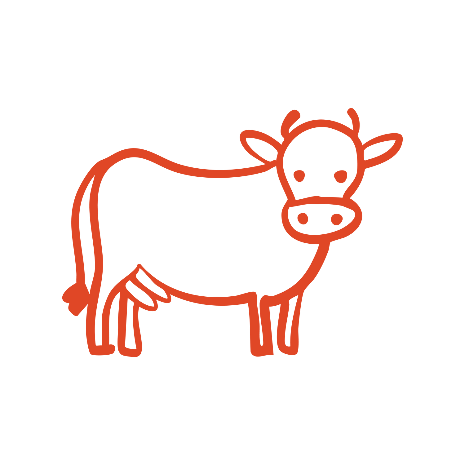 Cooee K9 Beef Treats