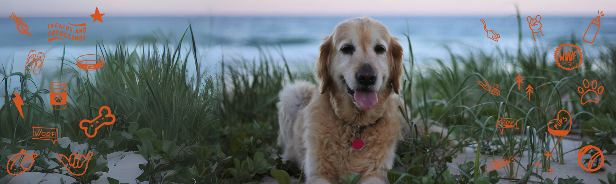 Single-protein dog treats for Happy Australian dog – Cooee K9 Wholefood dog treats