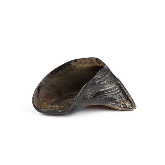 Australian Beef Hoof