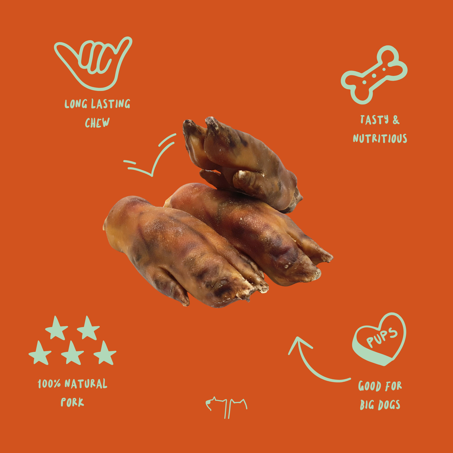 Pig Trotters