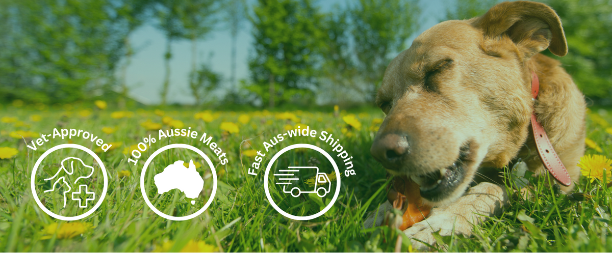 Dog playing with a treat in a grassy field with icons indicating 'Vet-Approved', '100% Aussie Meats', and 'Fast Aus-wide Shipping'.