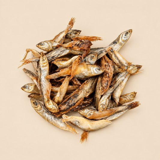 Forage Fish