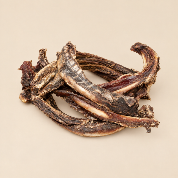 Kangaroo Ribs – close-up of the treat