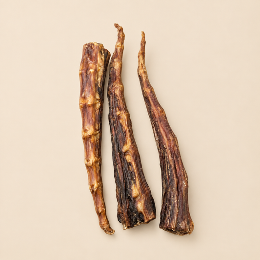 Australian Kangaroo Tail Tips
