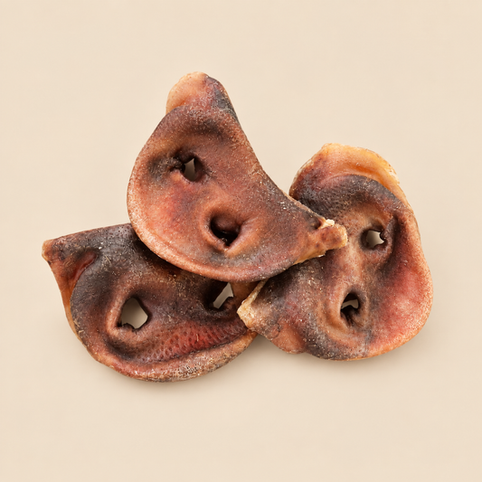 Australian Pig Snouts