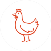 Chicken Treats